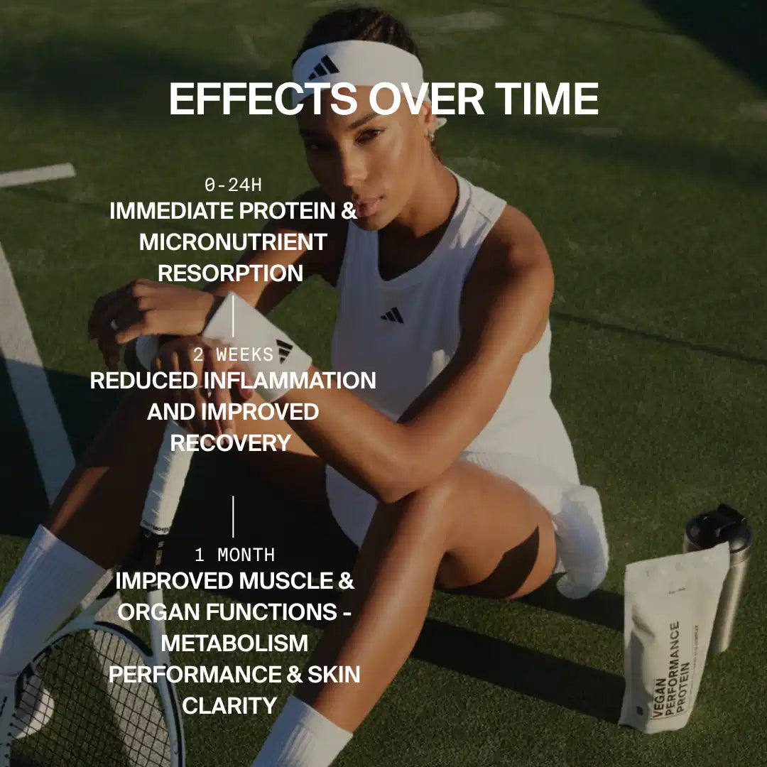 VEGAN PERFORMANCE PROTEIN ALL FLAVORS