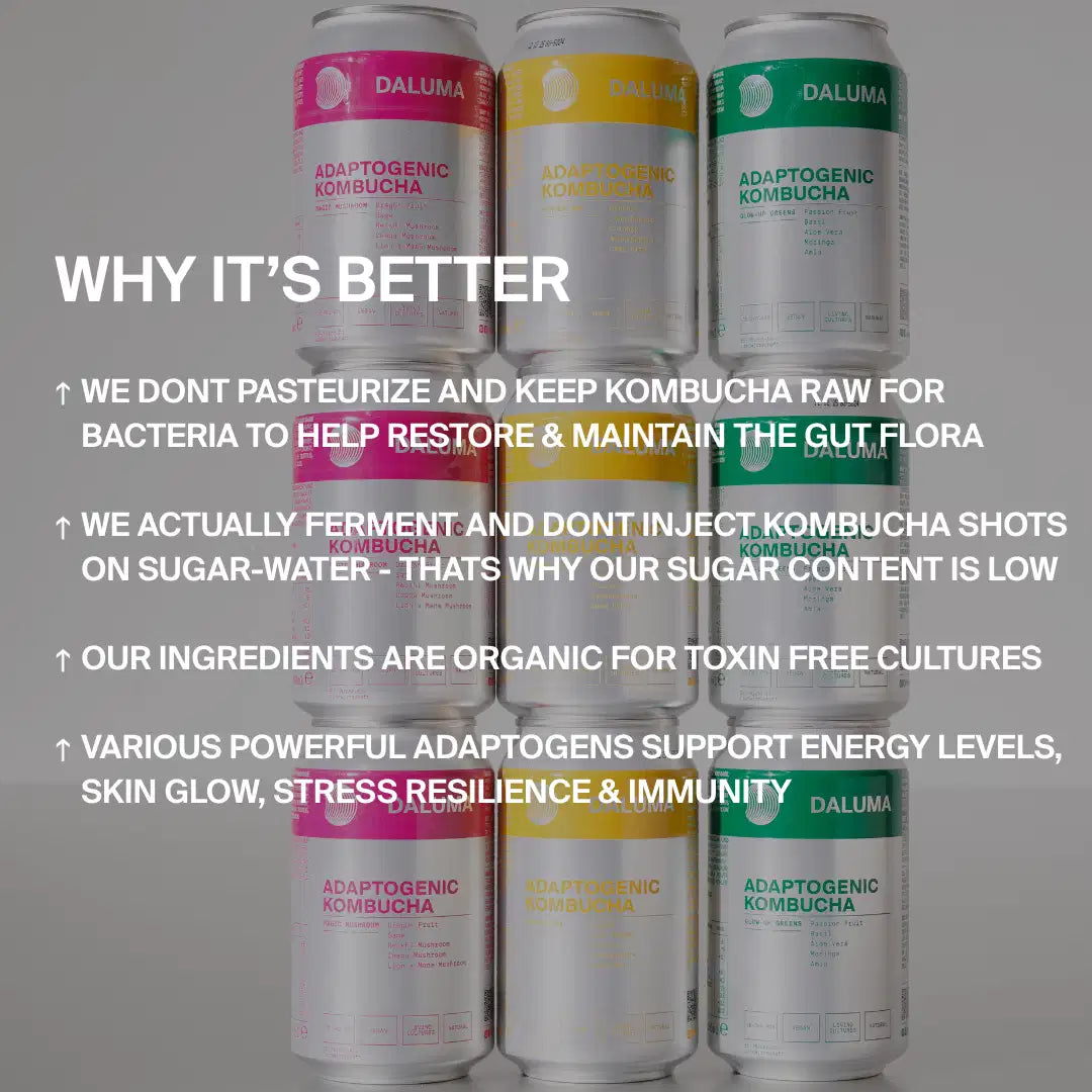 RAW KOMBUCHA DISCOVERY SET
