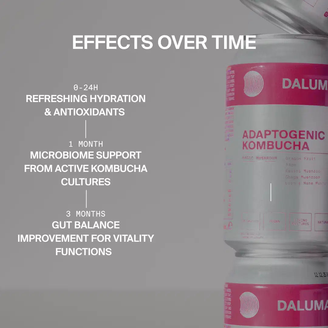 MAGIC MUSHROOM DRACHENFRUCHT KOMBUCHA