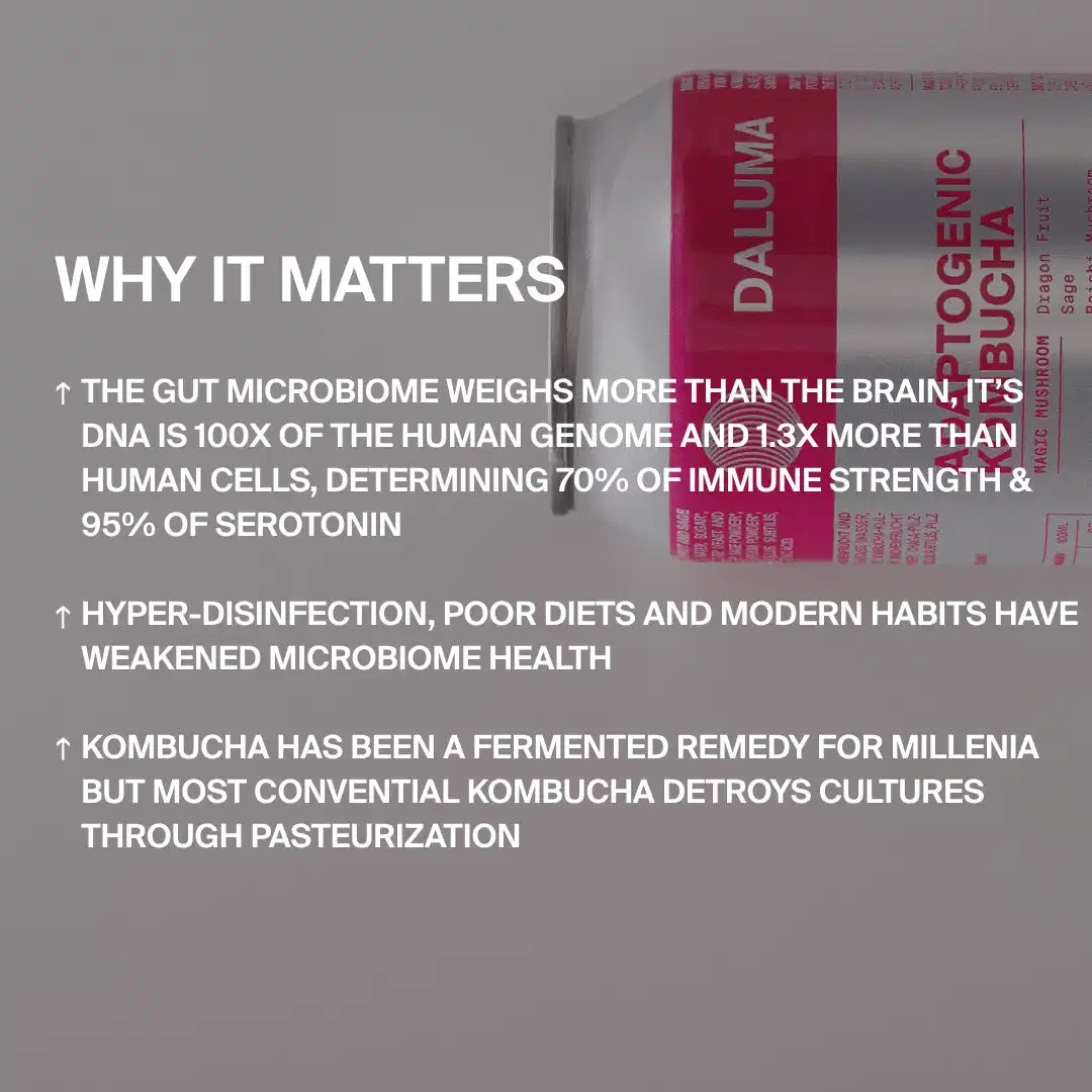 MAGIC MUSHROOM DRACHENFRUCHT KOMBUCHA