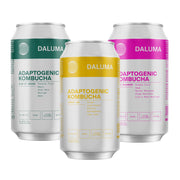 RAW KOMBUCHA DISCOVERY SET