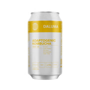 GINGER GUN INGWER KOMBUCHA