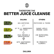 JUICE CLEANSE - 3 DAYS