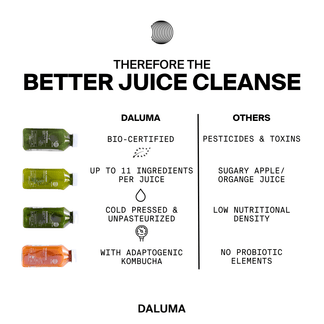 Vergleich von DALUMA's BESSERE SAFTKUR - 3 TAGE: bio-zertifiziert, bis zu 11 reine Zutaten, kaltgepresste, unpasteurisierte Säfte mit adaptogenem Kombucha im Vergleich zu anderen: Pestizidrückstände, zuckerhaltig, geringer Nährwert, keine Probiotika. Vier Saftflaschen abgebildet.