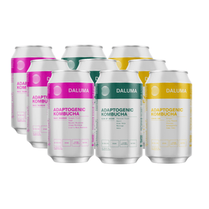 RAW KOMBUCHA DISCOVERY SET