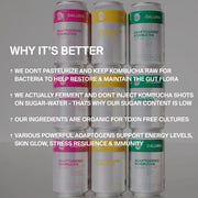 RAW KOMBUCHA DISCOVERY SET