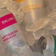 RAW KOMBUCHA DISCOVERY SET